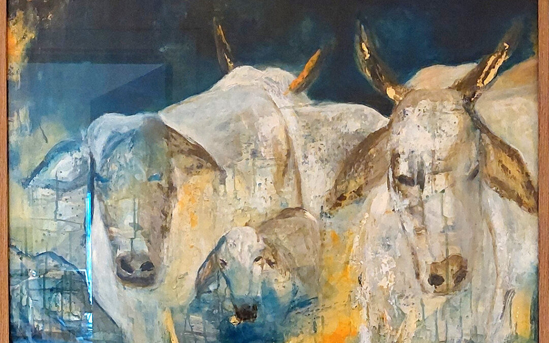 Golden cows
